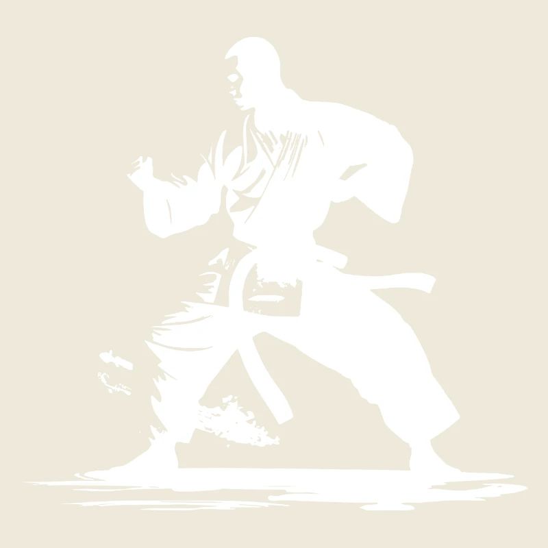 Graphique Karaté Boy