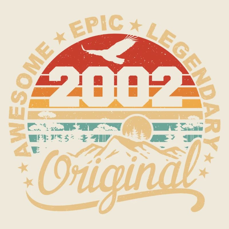 Original 2002 Retro 2002 Birthday Gift