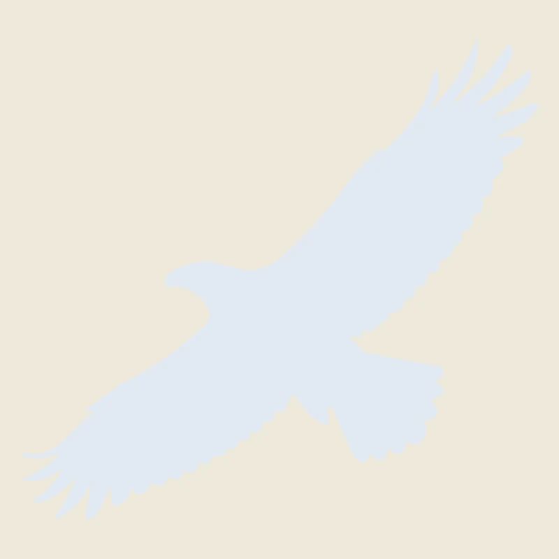 Aigle