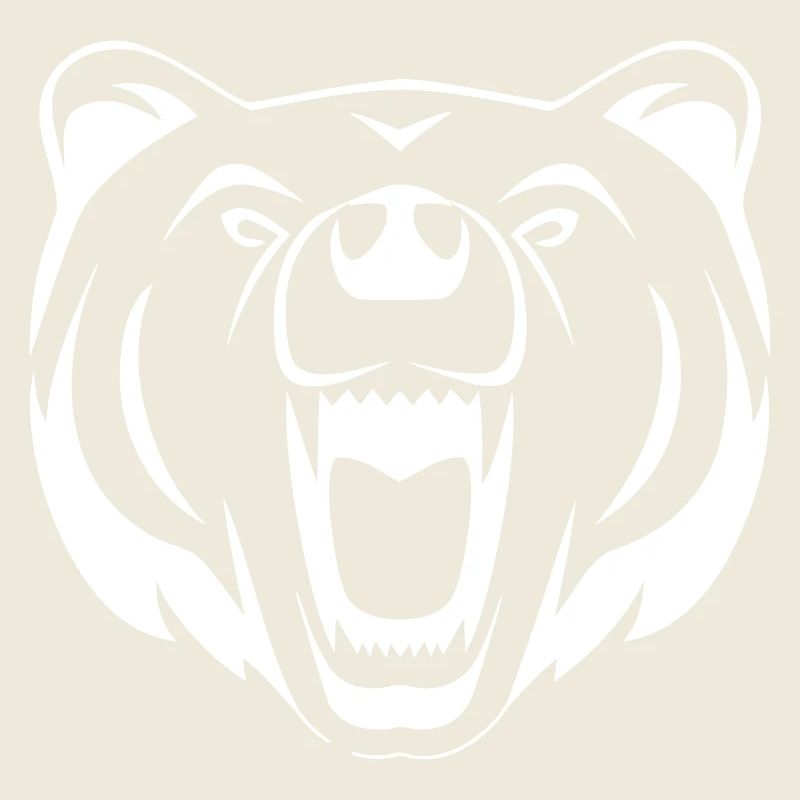 An angry bear