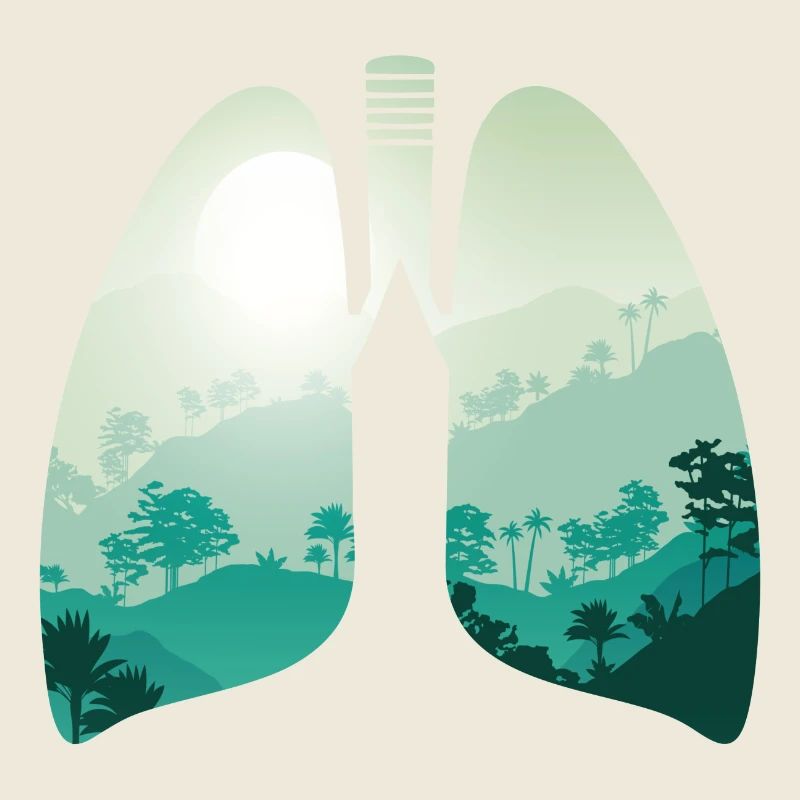 Green nature forest landscape lungs