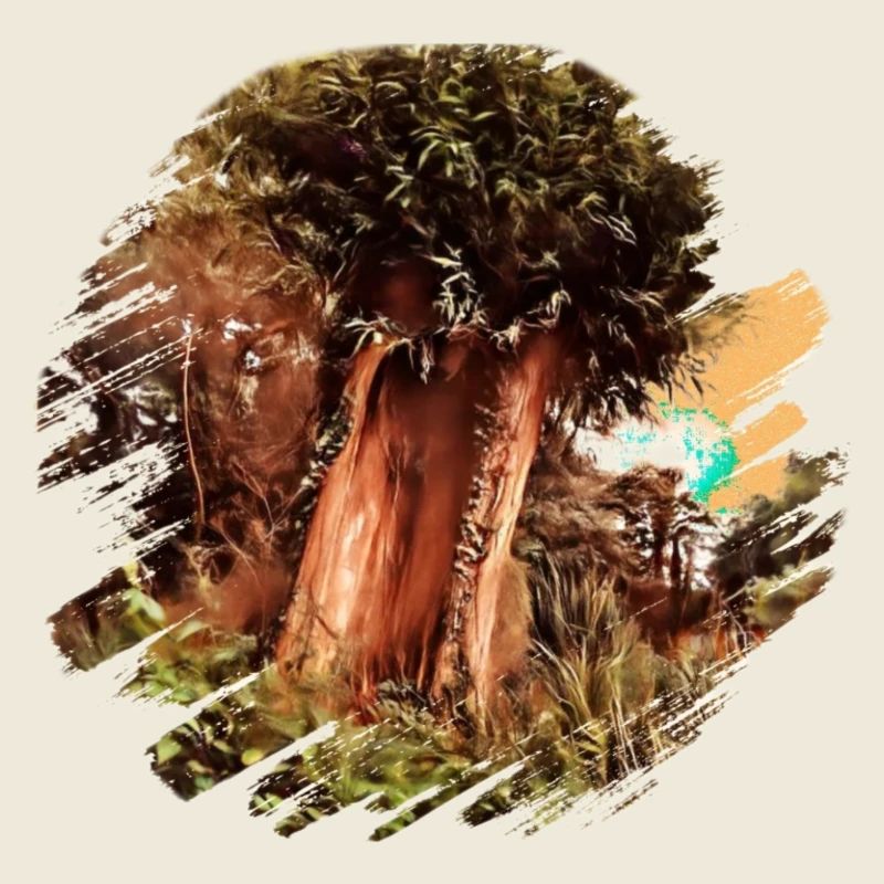 Old Tree