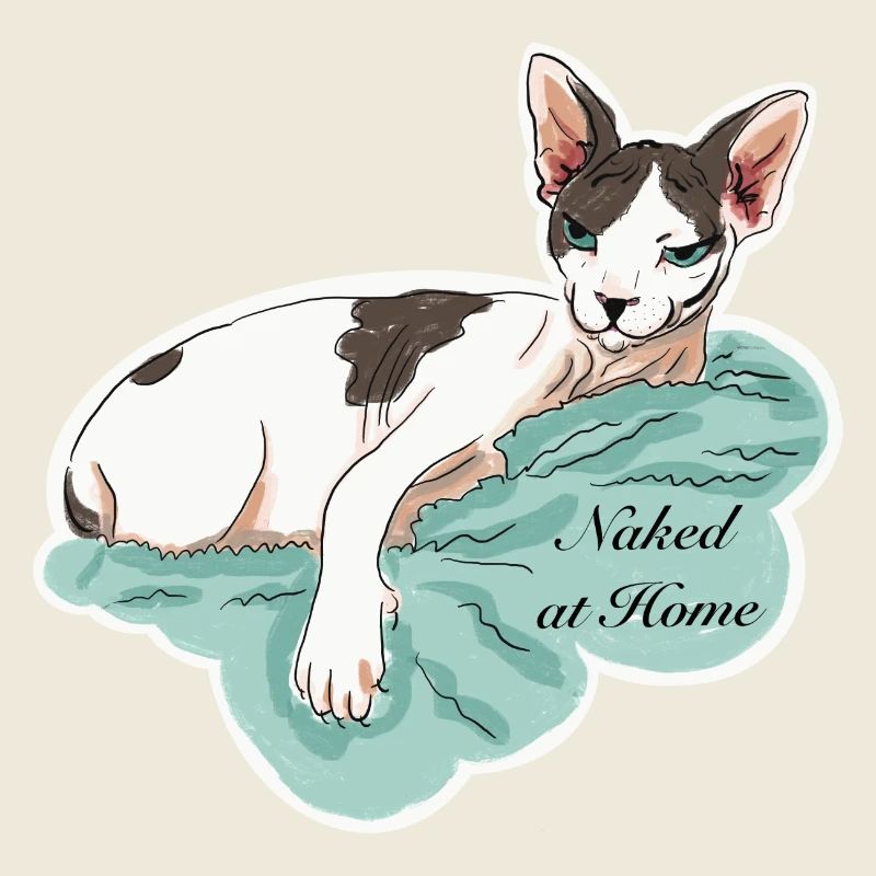 Sphynx nu à la maison