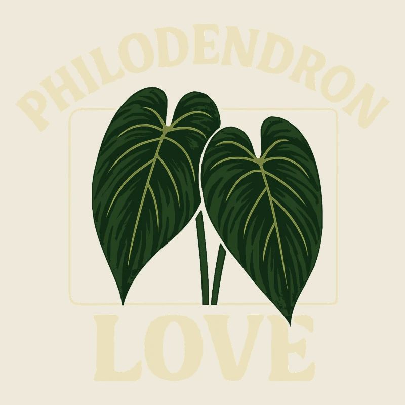 Amour des philodendrons