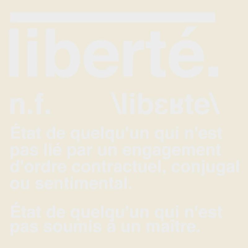 Freedom Definition Dictionary Style