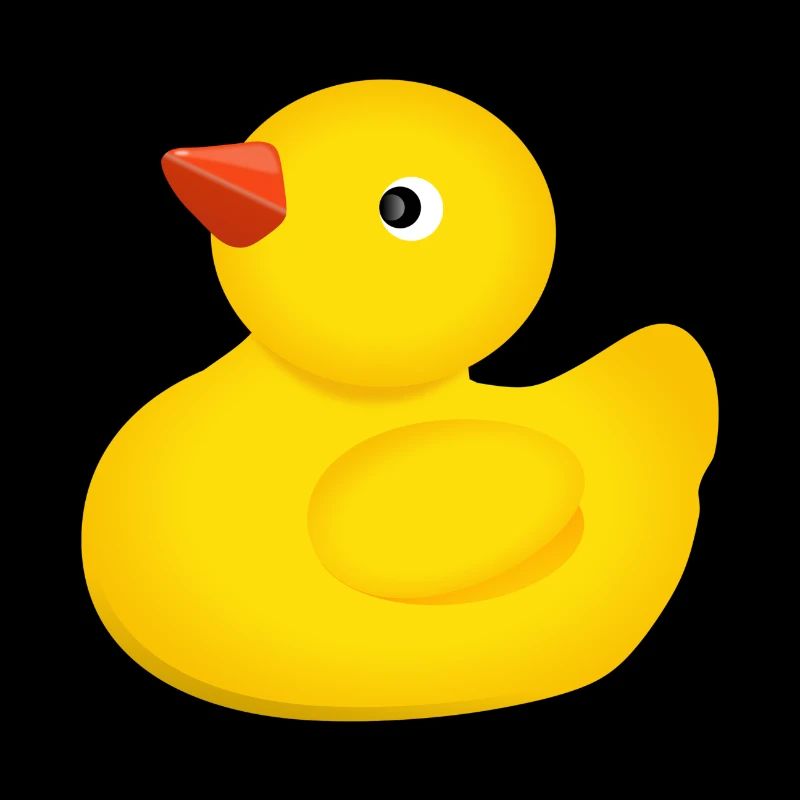 rubber duck