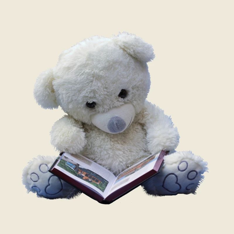 Teddy