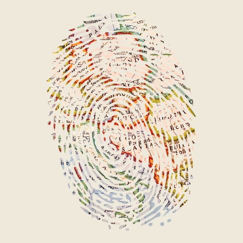 Carte d'empreintes digitales