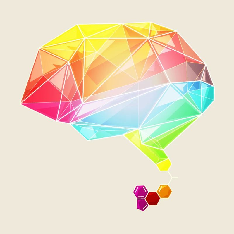 lsd brain