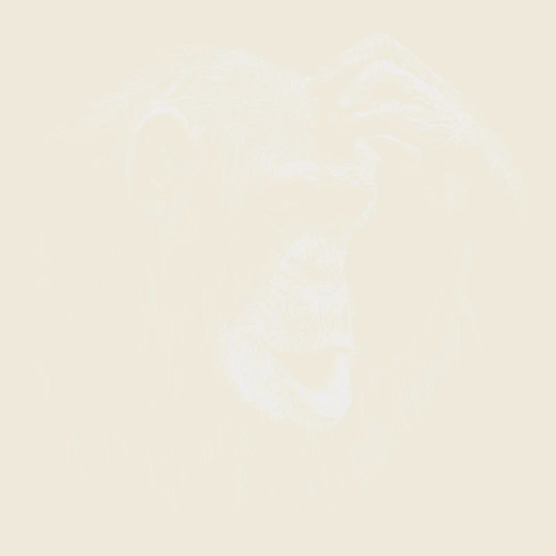 Affe