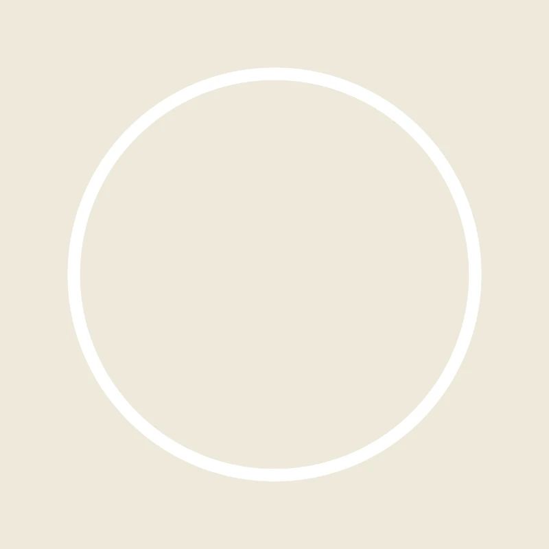 Circle ring shape icon white