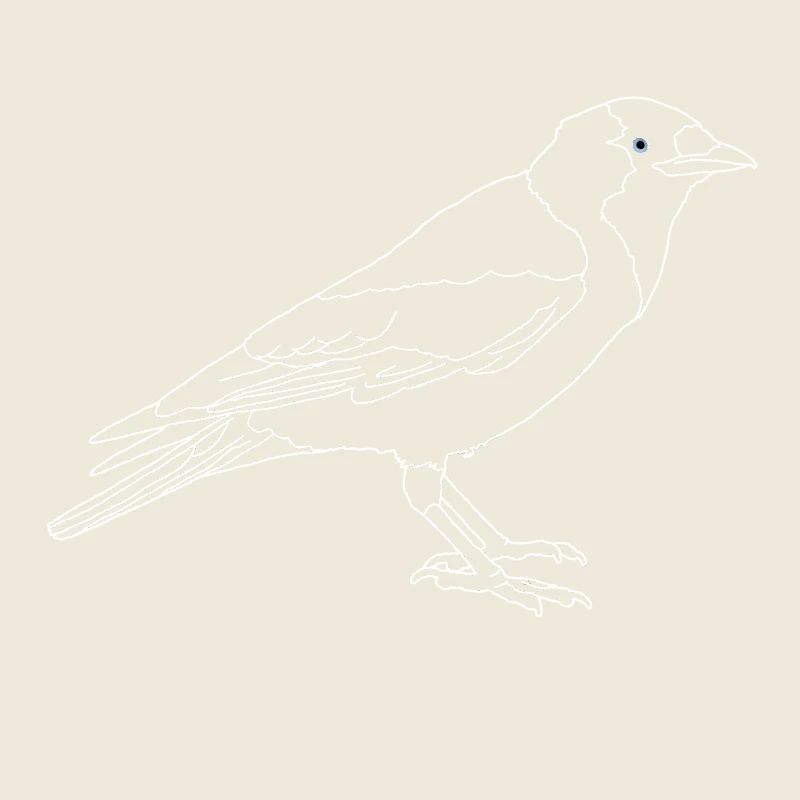 Dohle lineart