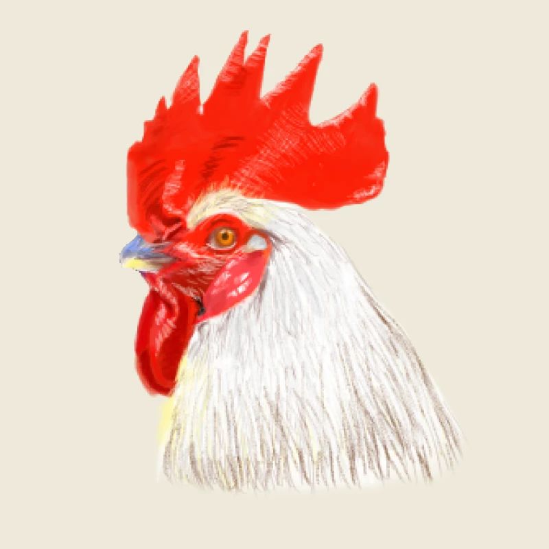 Head Color Game Illustration