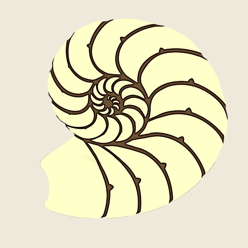 Ammoniten, Urzeitliches Wassertier, Badezimmer