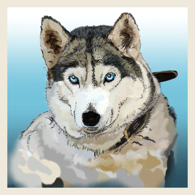 Husky