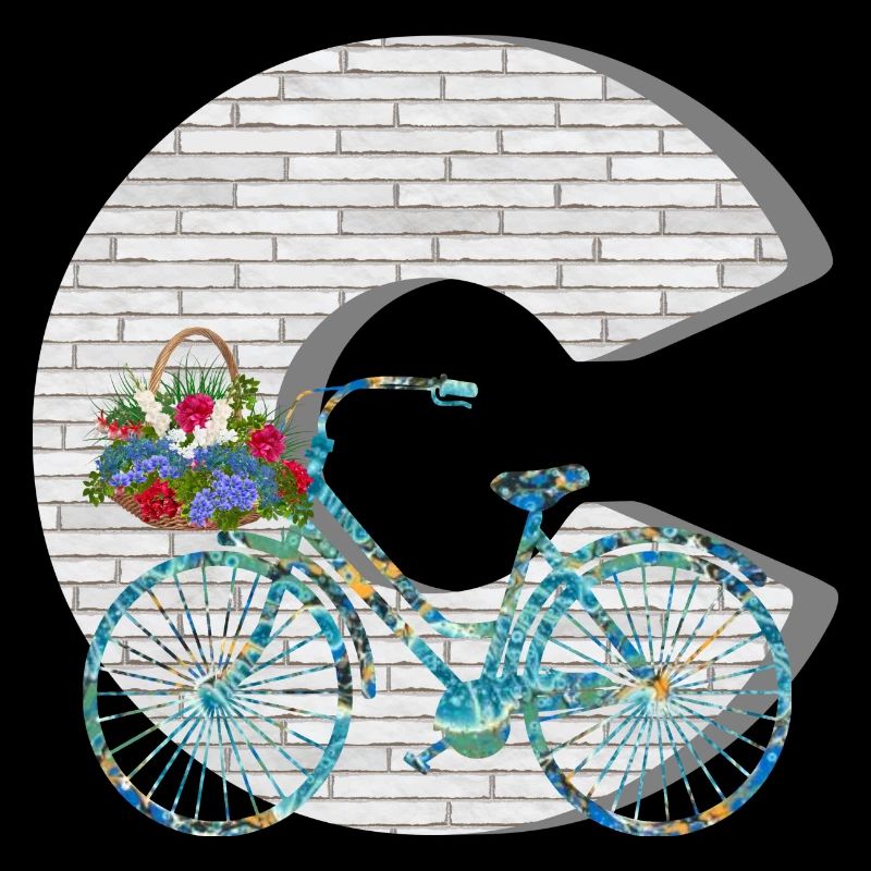 bicycle e 100 c