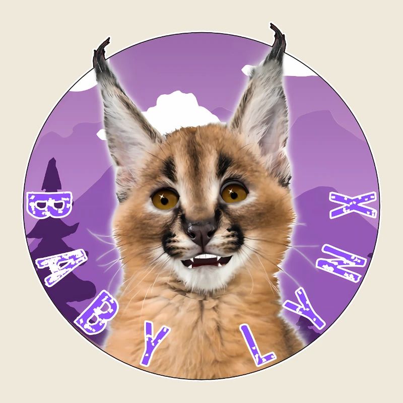 Cat Baby Lynx