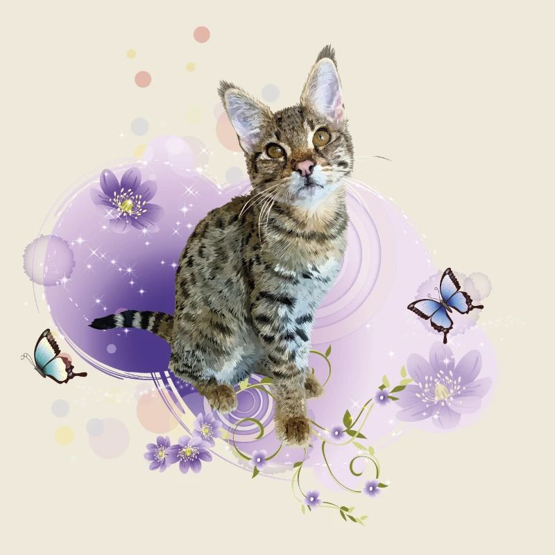 Tabby