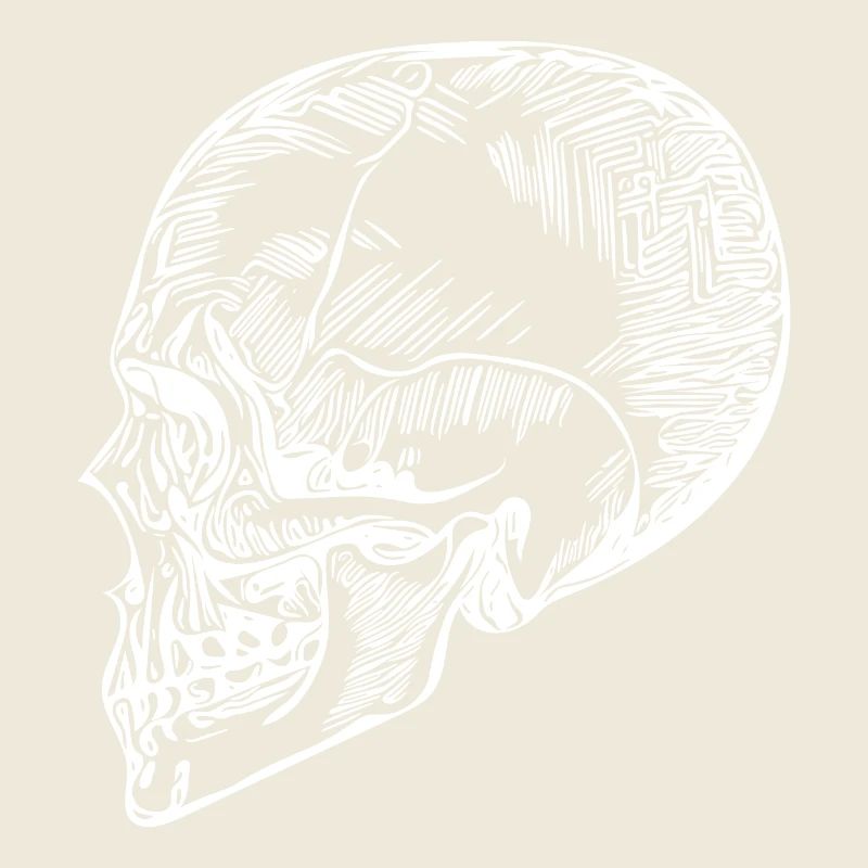 Schädel Knochen Halloween Totenkopf