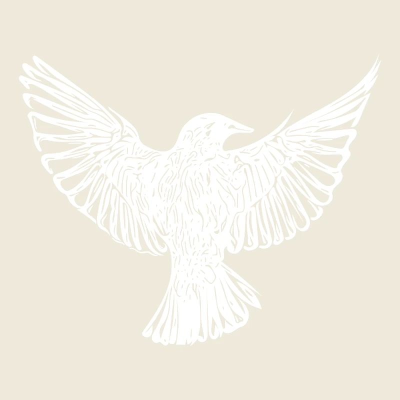 Bird in flight with open wings