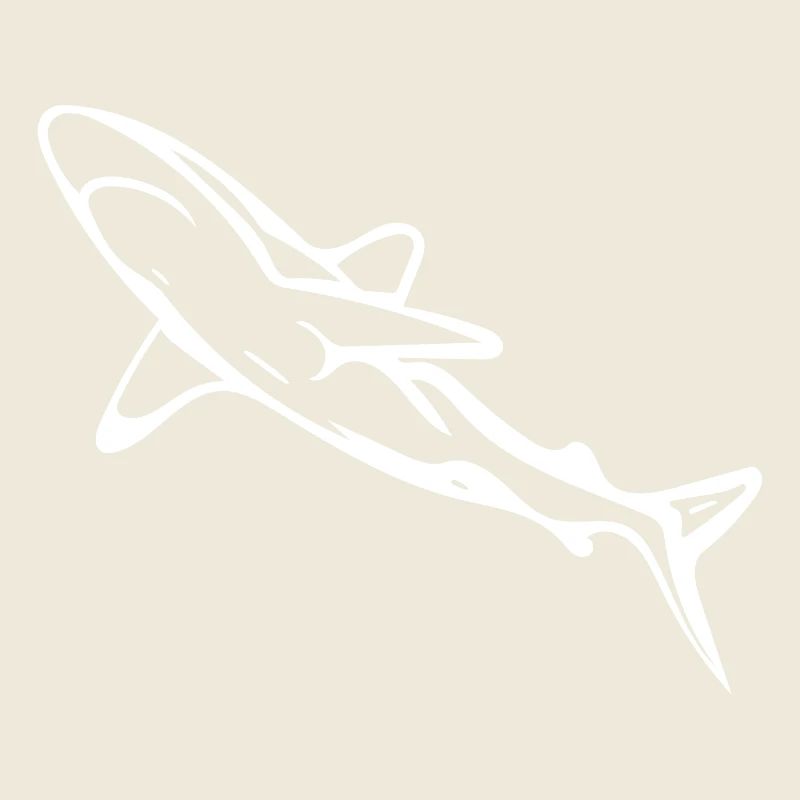 Élégant requin d’eau profonde