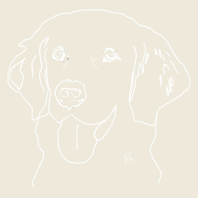 Golden retriever