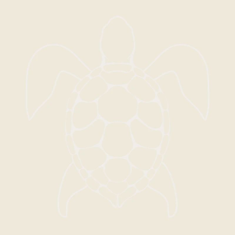 Turtle Lineart