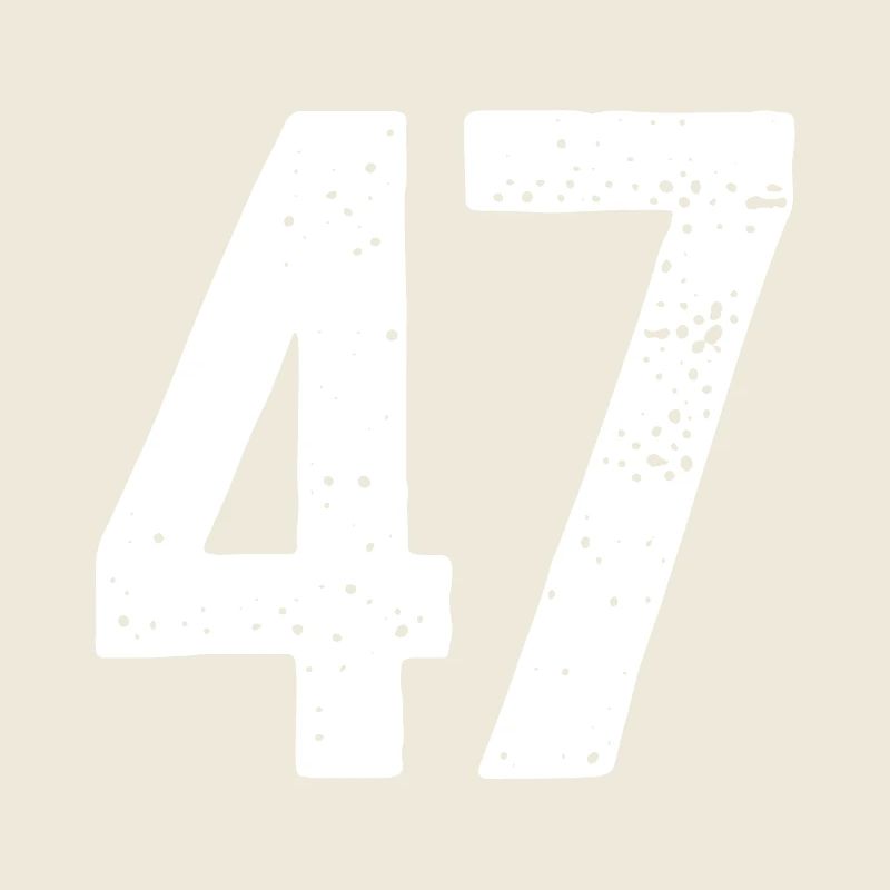 47 Zahlen Weiß