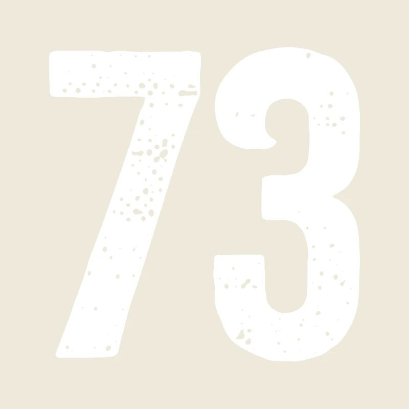 73 Numbers White