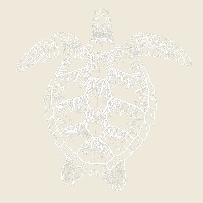 Tortue blanche2