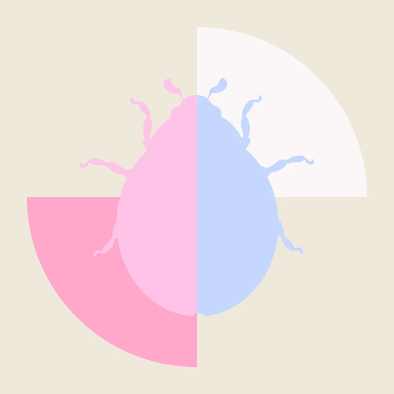 Duo Pastel Blue Pink