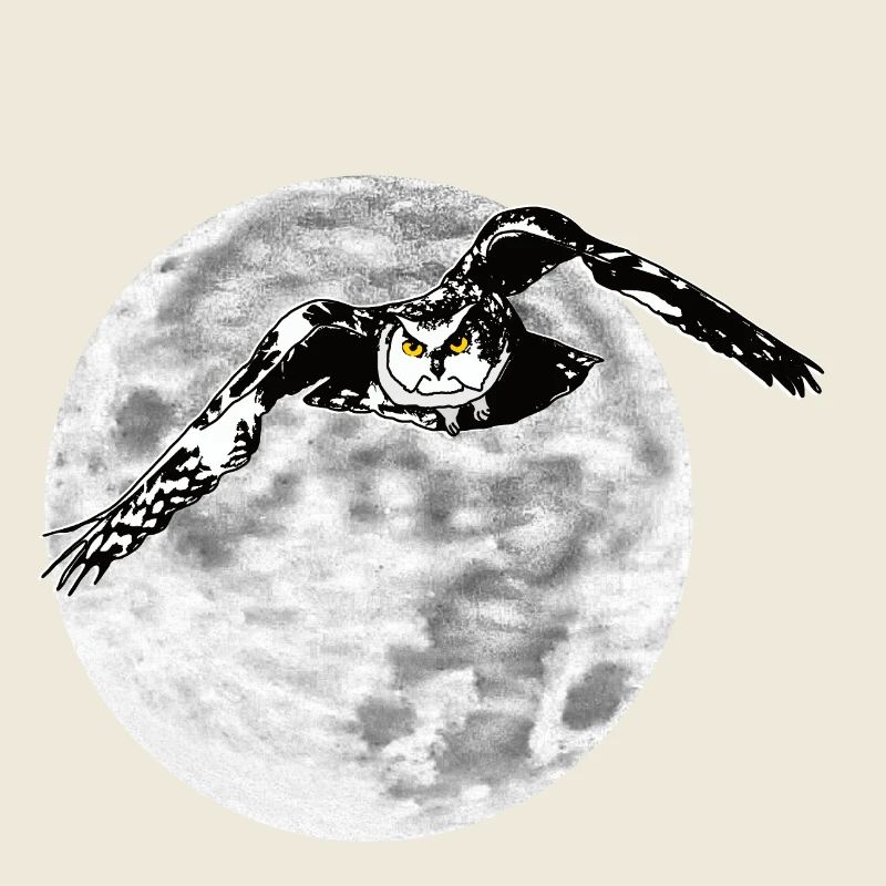 Eule vor Mond