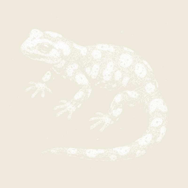 Feuersalamander