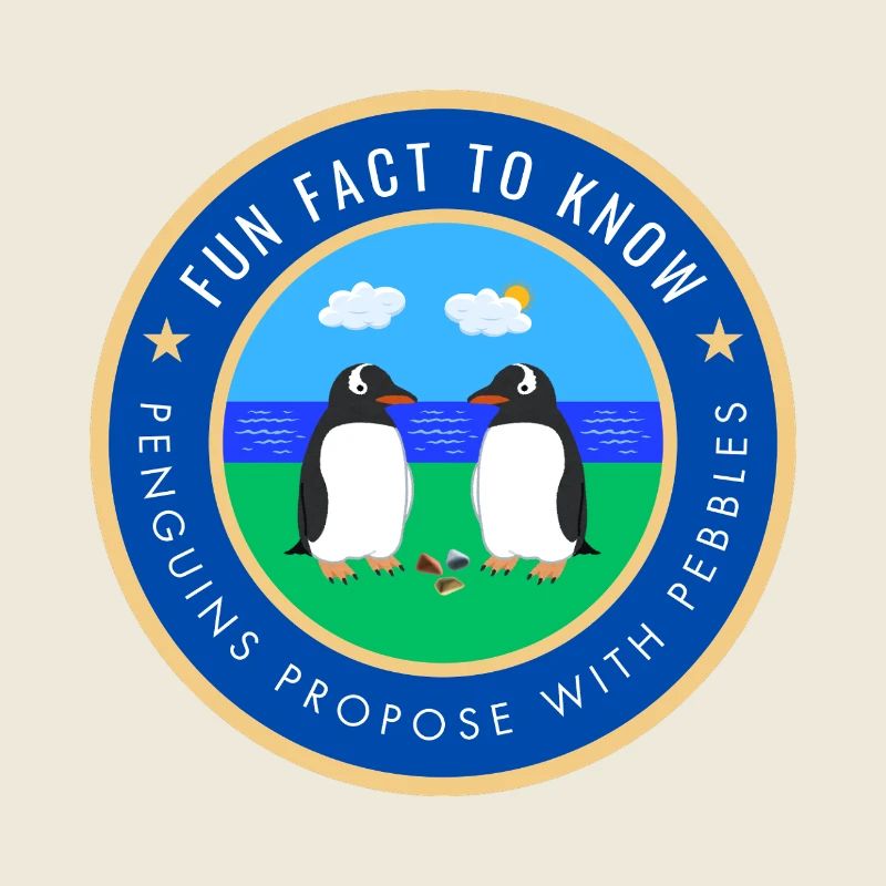 Penguins propose with pebbles