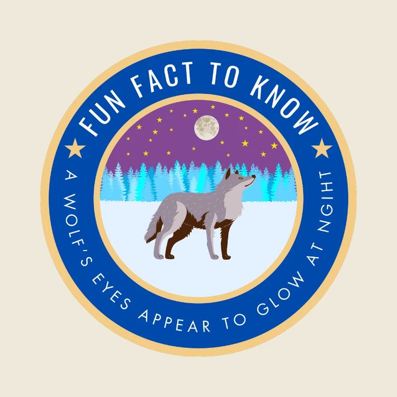 A wolf's eyes appear to glow at night