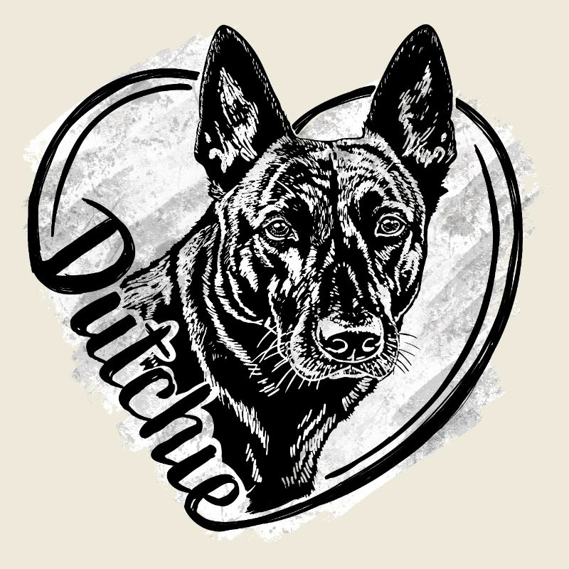 Dutch Shepherd – Dutchie