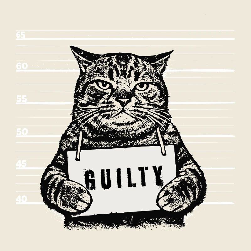 Grim Cat – Mugshot Guilty Design