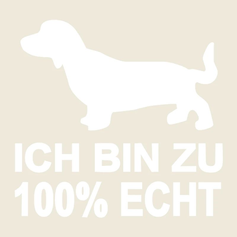 Dachshund