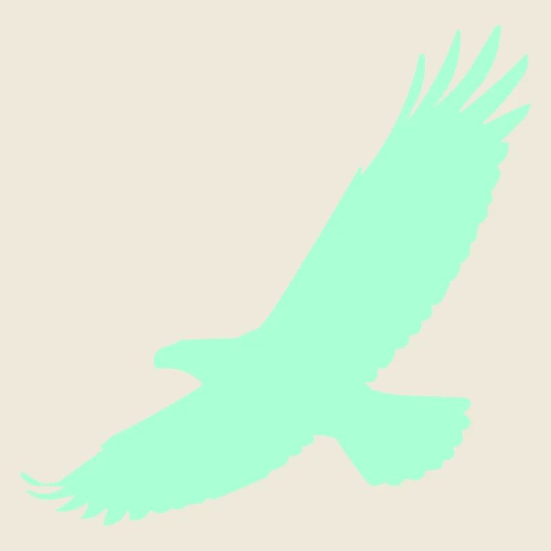 Falke im Flug