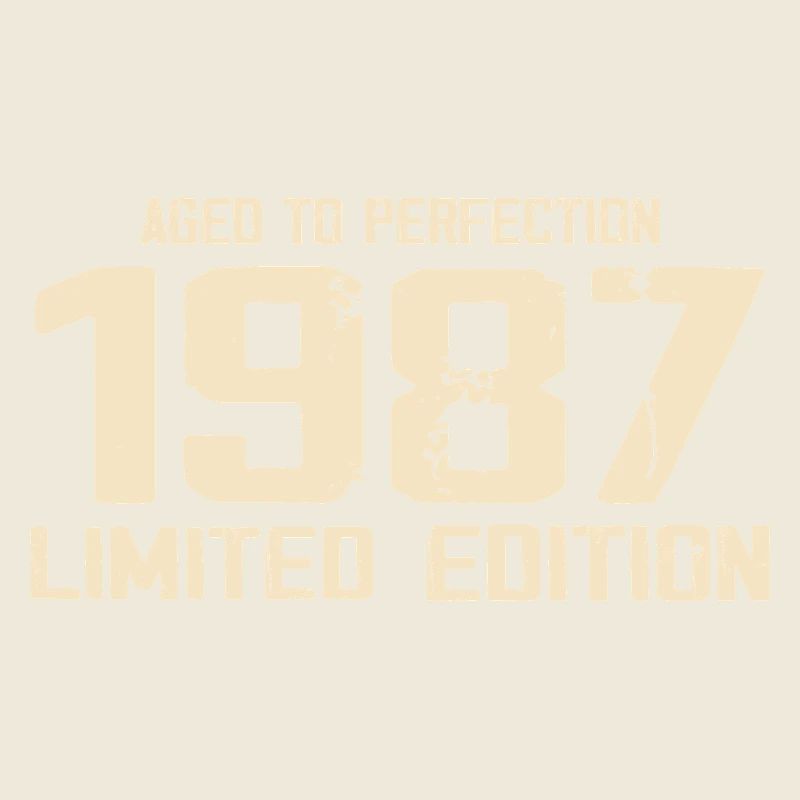 1987 Edition limitée 1987 Anniversaire 1987 Rétro