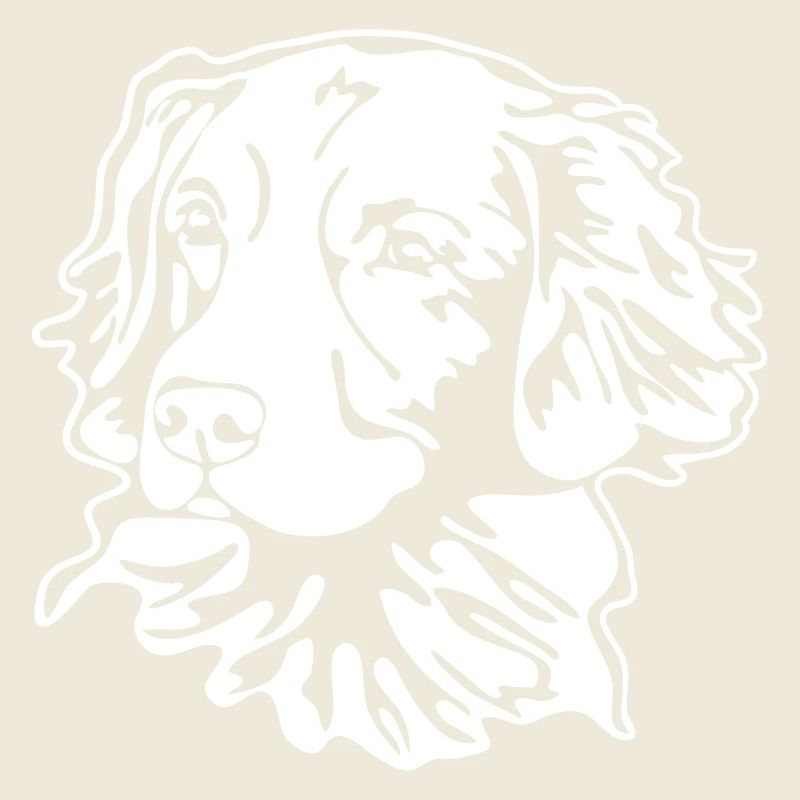 NOVA SCOTIA DUCK TOLLING RETRIEVER PORTRAIT