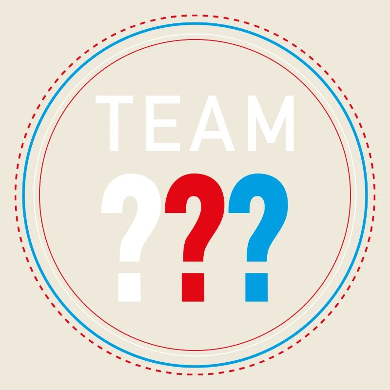 Die Drei ??? Team Drei Fragezeichen