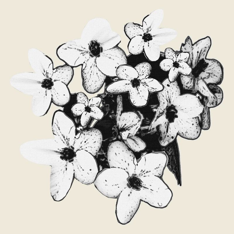 Spring look, floral cutout black and white