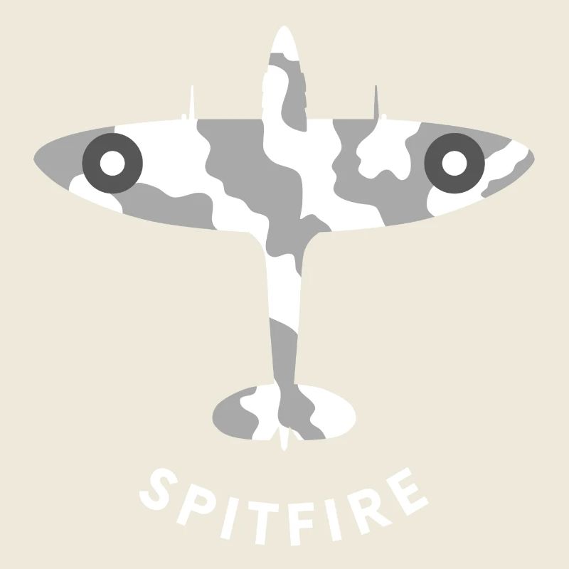 Spitfire fighter plane