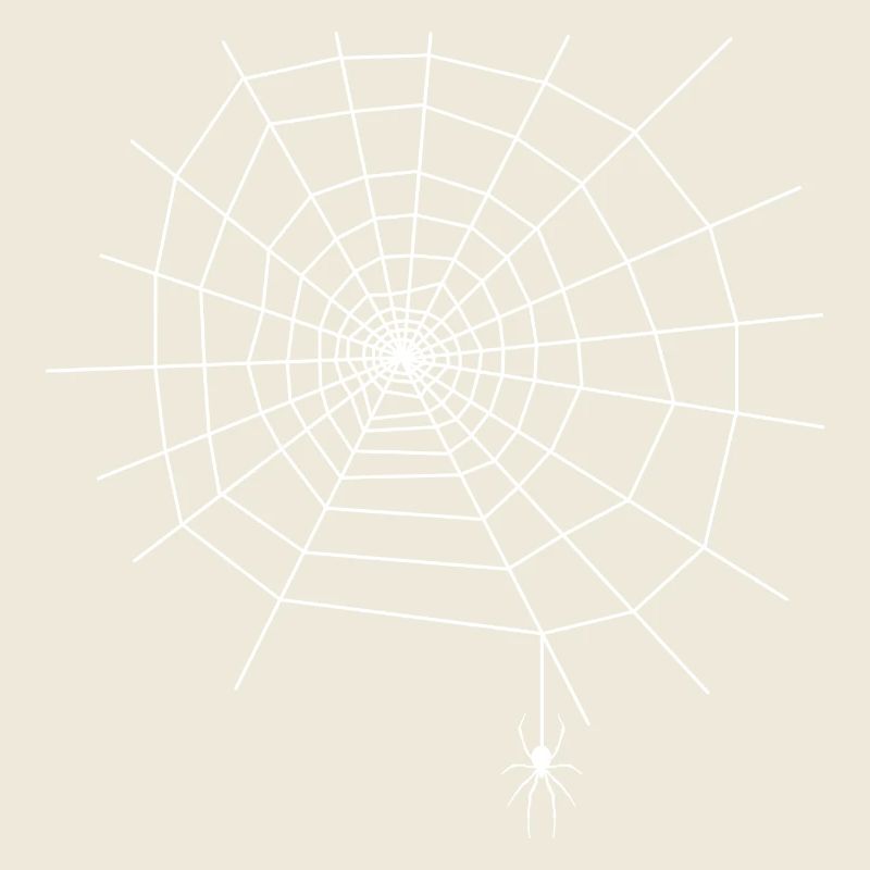 Spider Web Spider