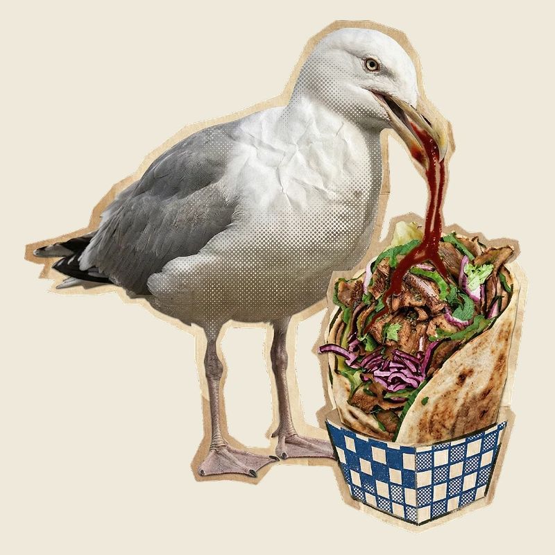 Döner Möwe