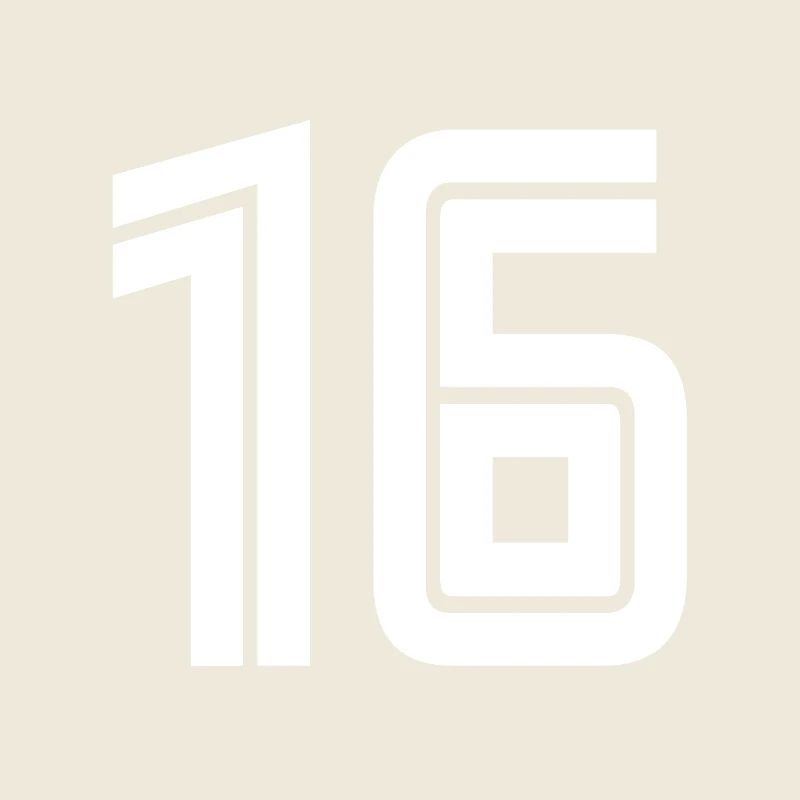Jersey number 16 – 16th birthday gift