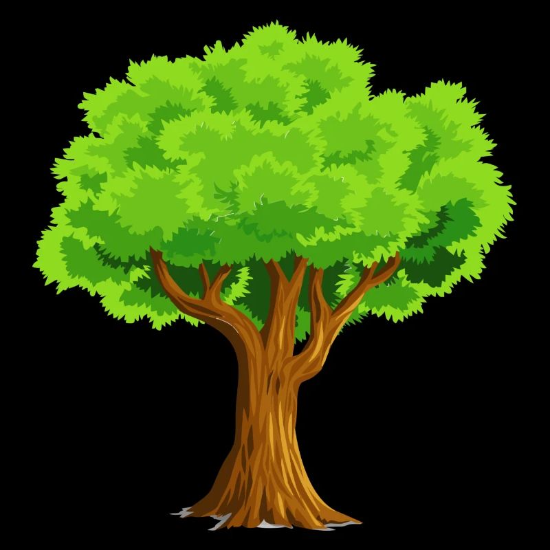 baum tree baumstamm wald forest woods33