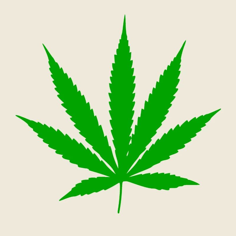 Plante à feuilles de cannabis