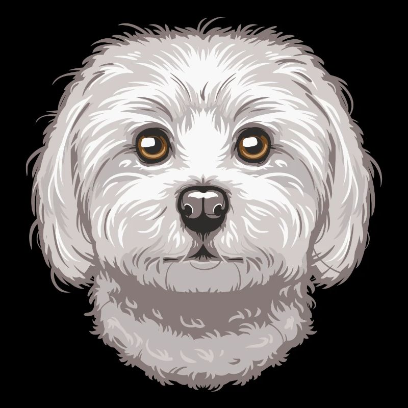Maltese